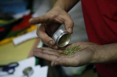 Madrid acoge un concurso en el que se premiará la mejor cosecha de marihuana